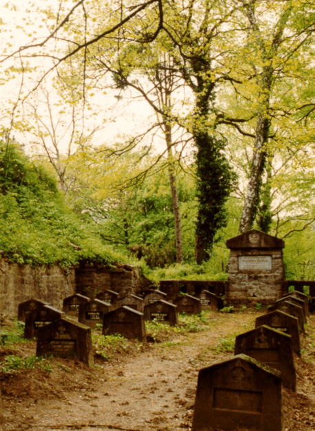 Captura de pantalla 2020-07-16 a las 23119png