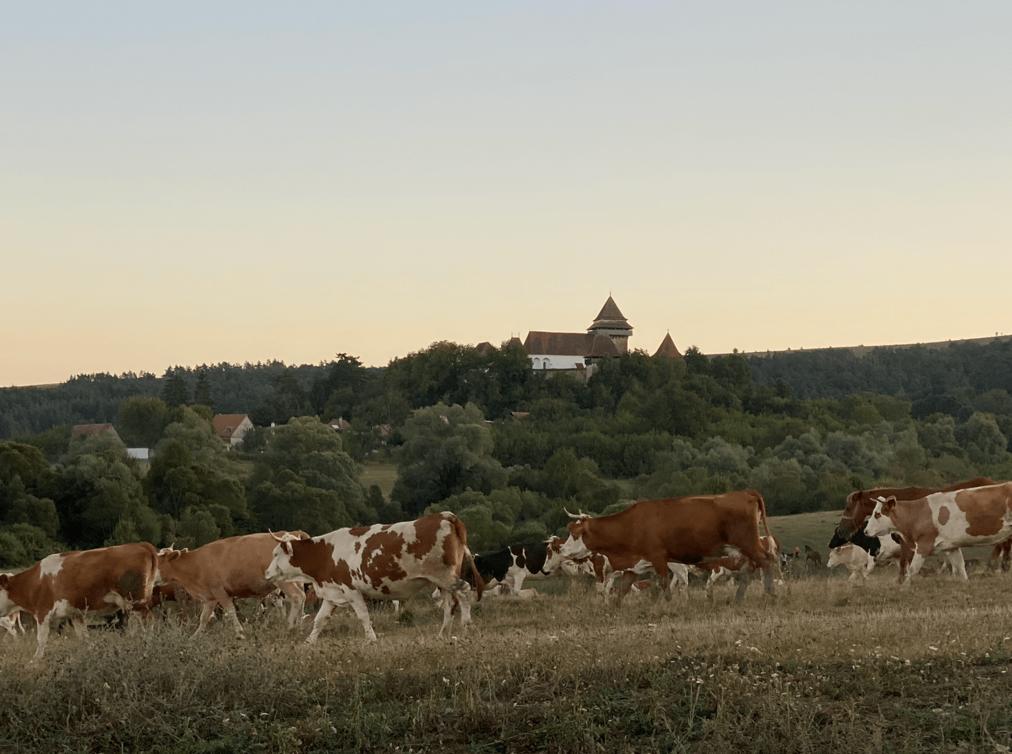 Captura de pantalla 2021-06-30 a las 01523png